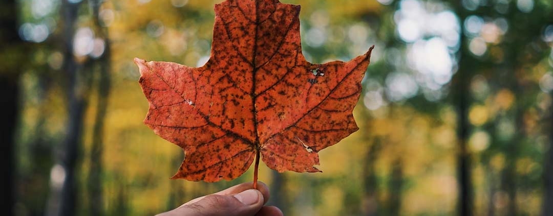 Why Data Residency in Canada Matters for Your Real Estate Company