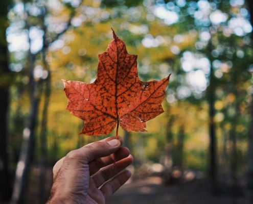 Why Data Residency in Canada Matters for Your Real Estate Company
