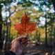 Why Data Residency in Canada Matters for Your Real Estate Company